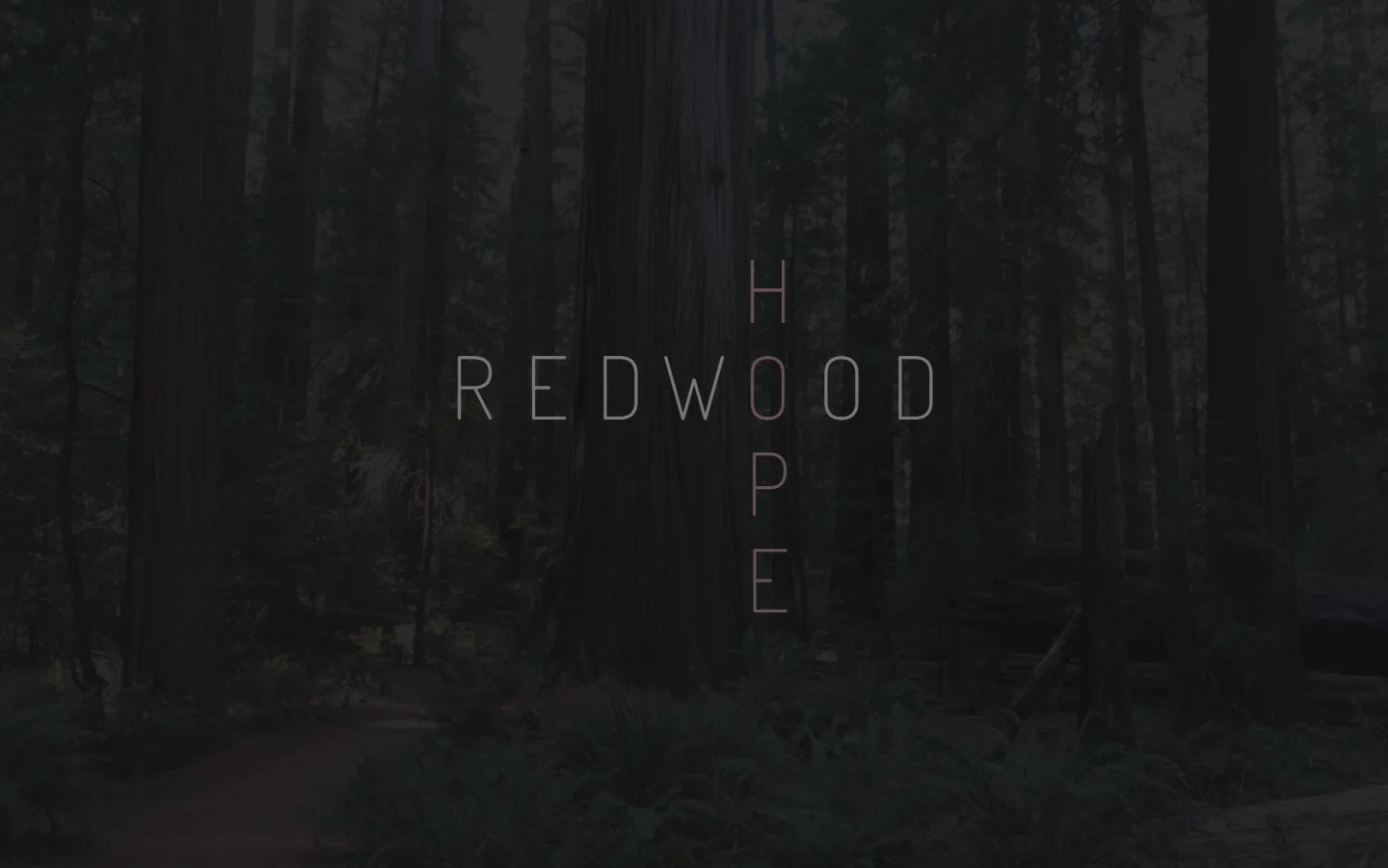 Redwood Hope atmospheric identity landing page over a forest image